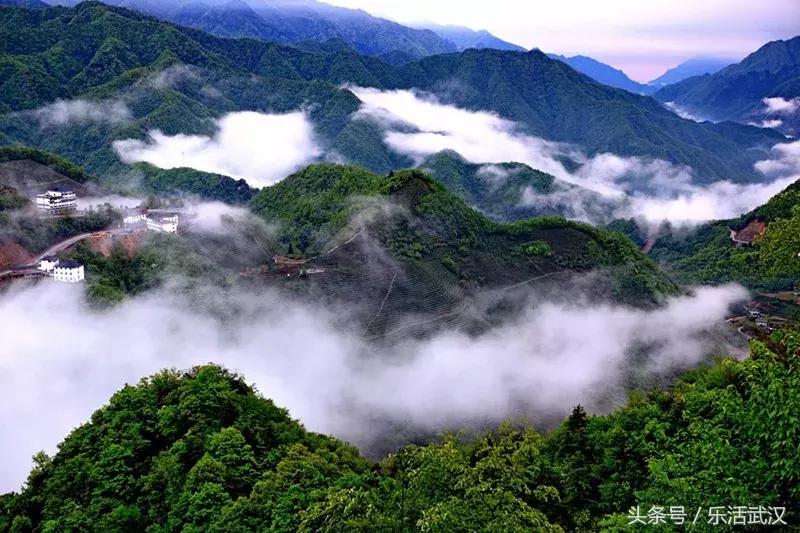 武汉春游两日游攻略大全,武汉春游适合去哪里玩