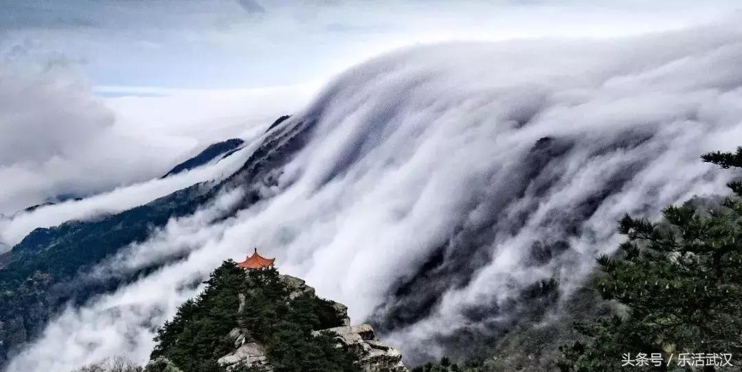 武汉春游两日游攻略大全,武汉春游适合去哪里玩