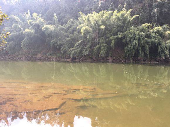 上鱼率最高的调漂,上鱼率100%的钓鱼方法