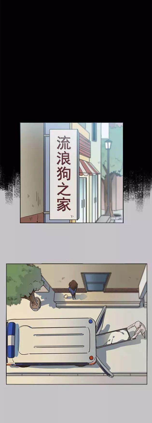 巴哥犬铲屎官漫画,铲屎官的搞笑漫画