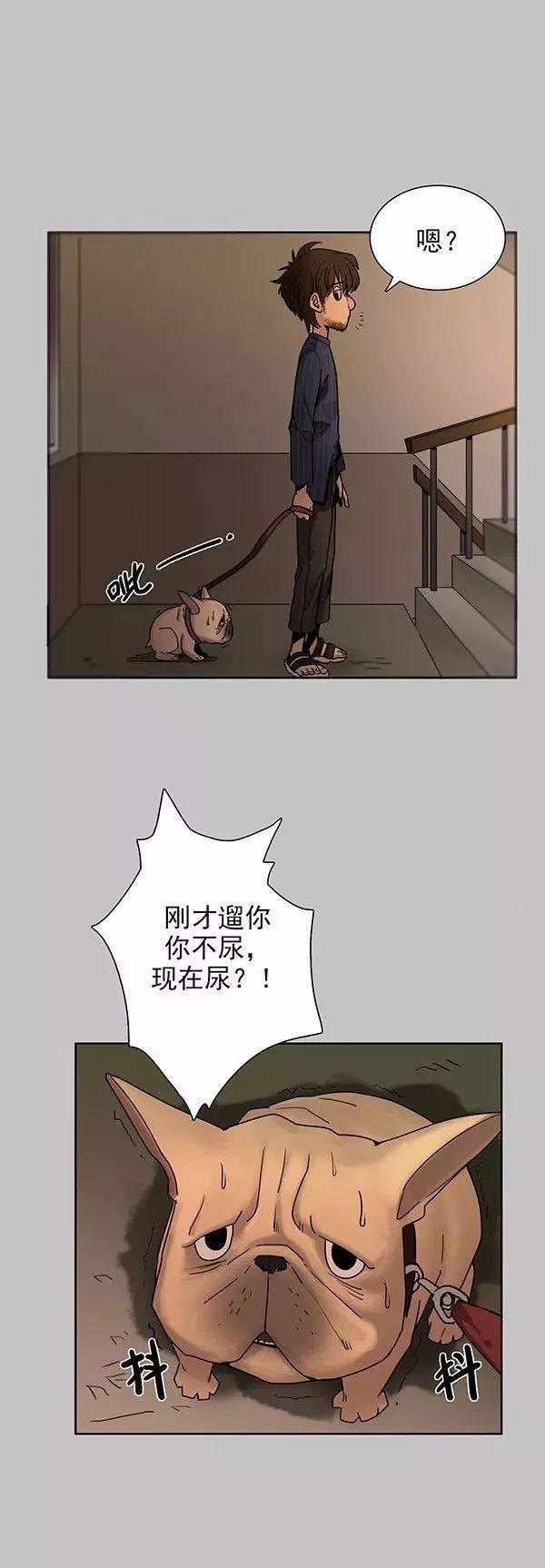 巴哥犬铲屎官漫画,铲屎官的搞笑漫画