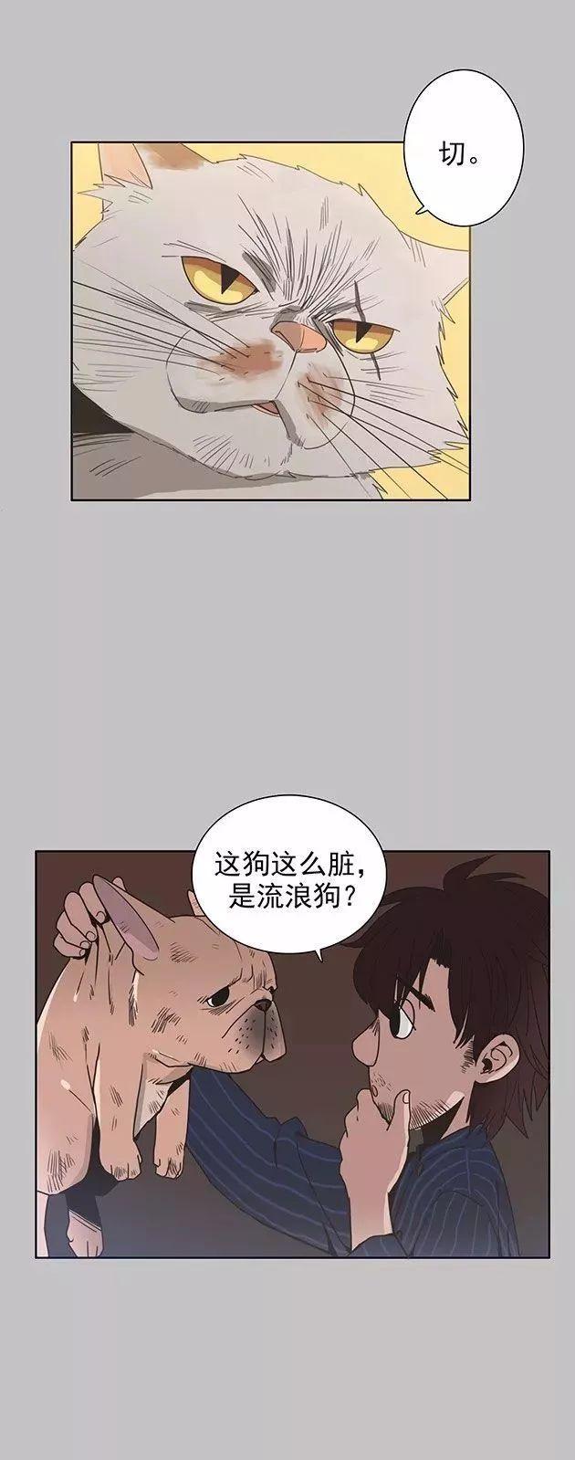 巴哥犬铲屎官漫画,铲屎官的搞笑漫画