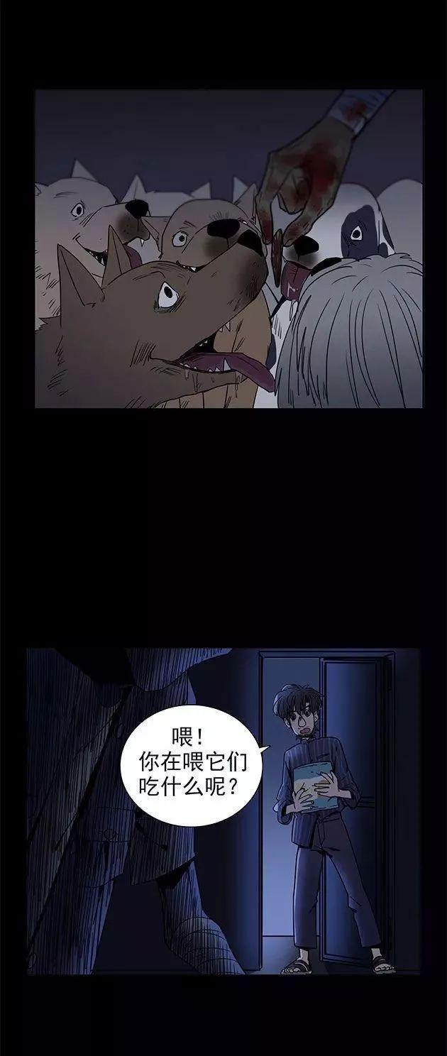 巴哥犬铲屎官漫画,铲屎官的搞笑漫画