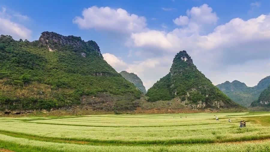 春花烂漫美景开怀,春花烂漫惹人醉满城尽带百花香