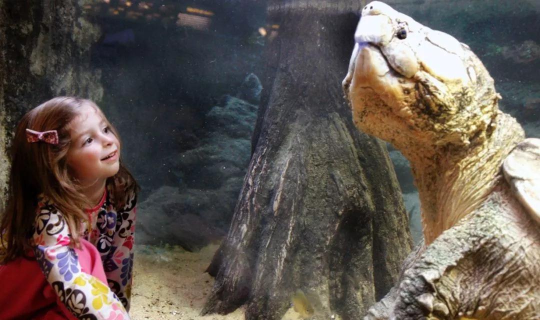 我滴个龟龟,我滴龟龟什么意思