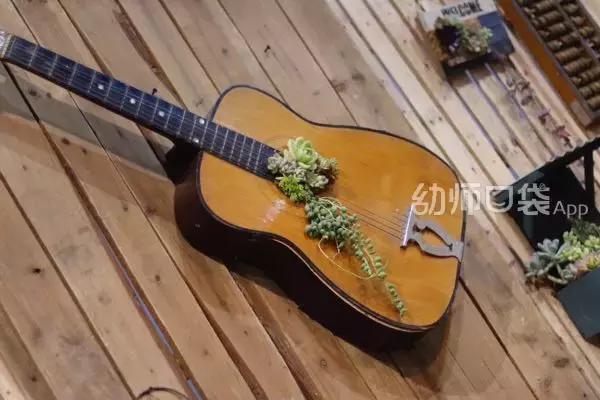 幼儿园春天植物角摆台,幼儿园植物角创意布置图片大全集