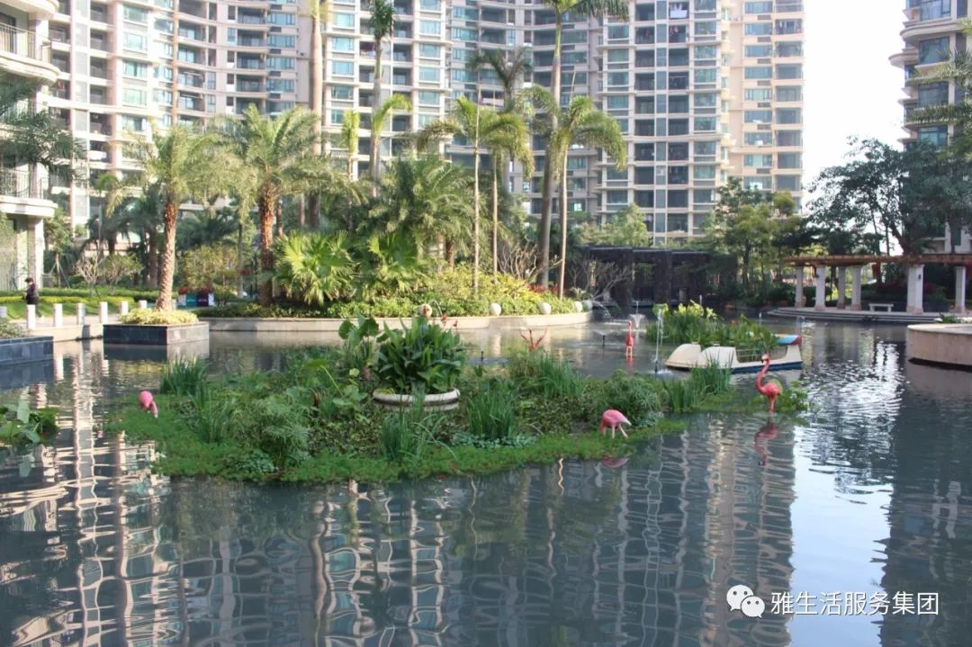 学习||雅居乐物业标杆项目亮点(100张大图解析高品质物业)
