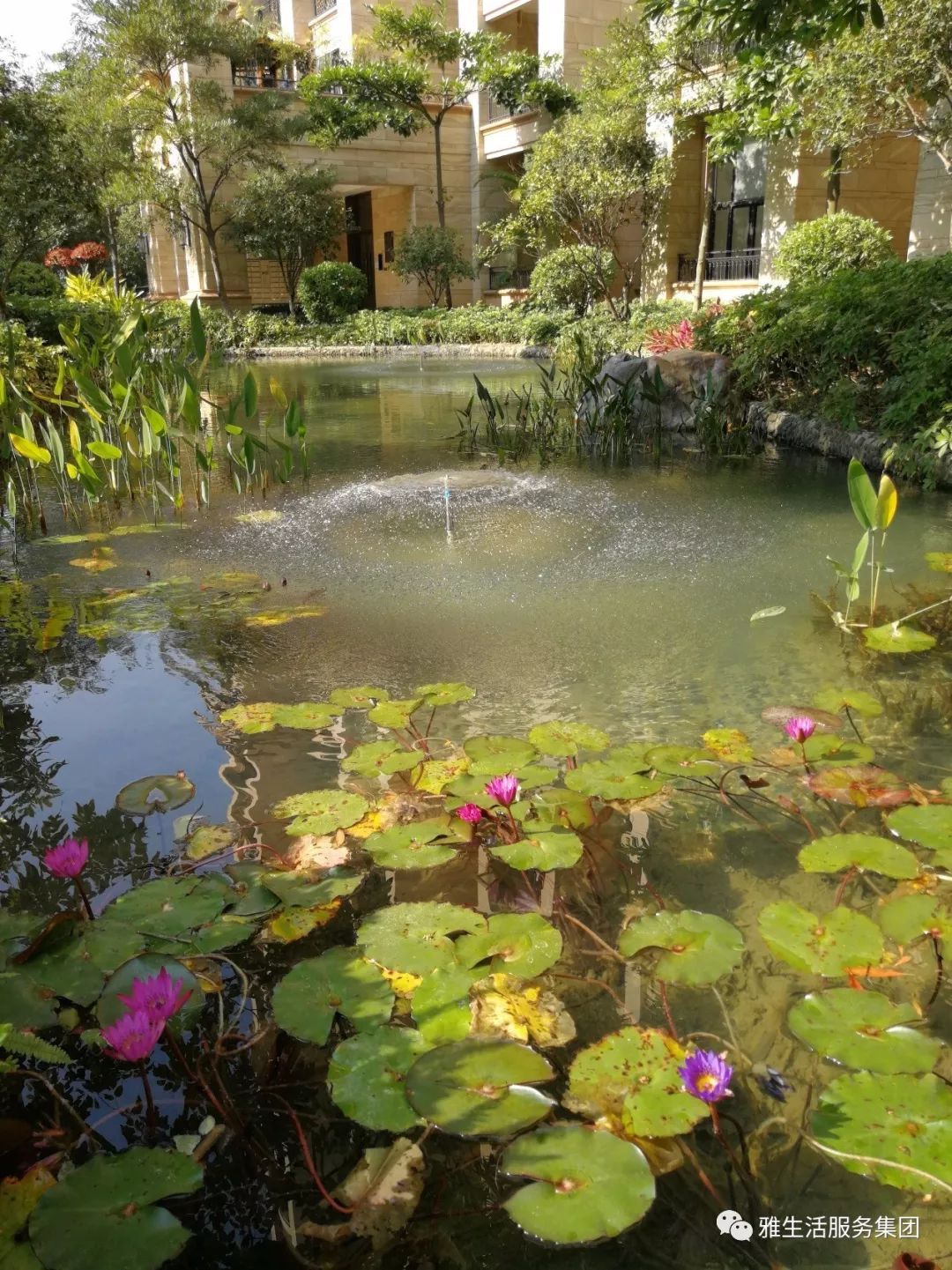 学习||雅居乐物业标杆项目亮点(100张大图解析高品质物业)