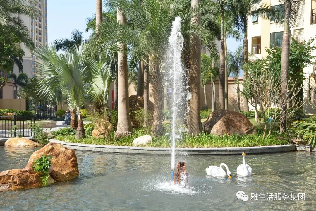 学习||雅居乐物业标杆项目亮点(100张大图解析高品质物业)