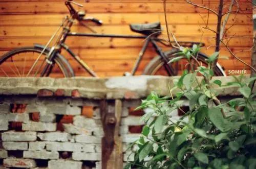 成都适合年轻人创业的项目,成都小众创业项目有哪些