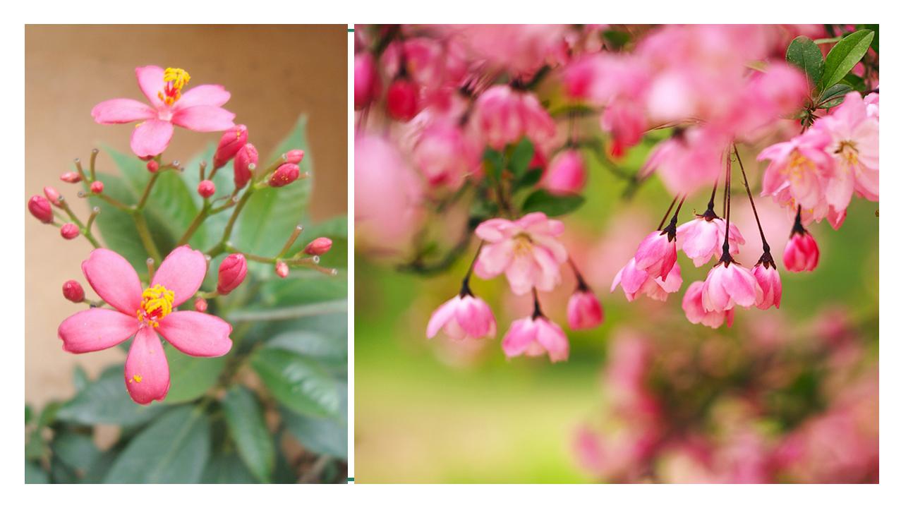 三年级孩子作业多家长可以帮助吗,小学三年级学生作业家长应该管吗