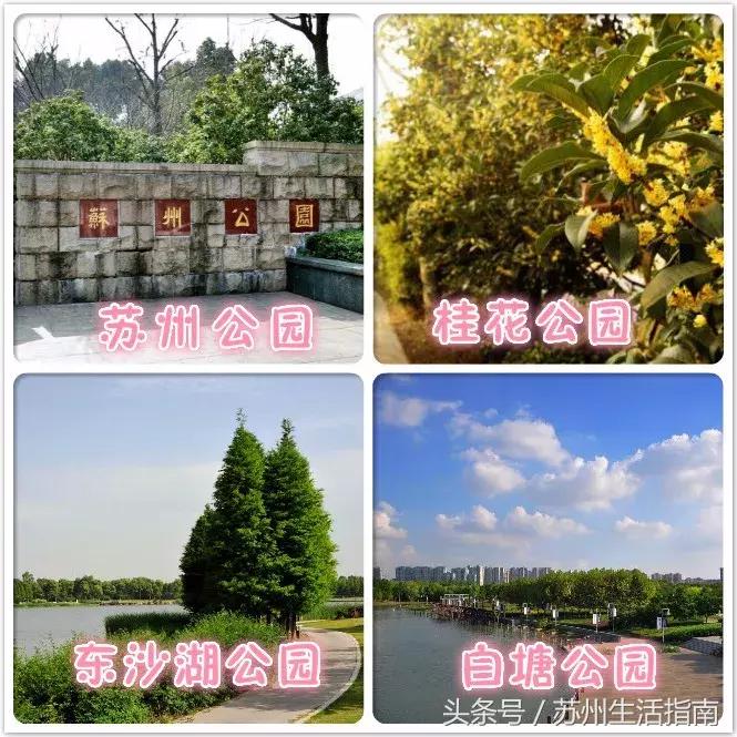 鏀跺ソ杩欎唤鏀荤暐甯︿綘浜彈瑙嗚鐩涘,鏀跺ソ杩欎唤鏃呰鏀荤暐