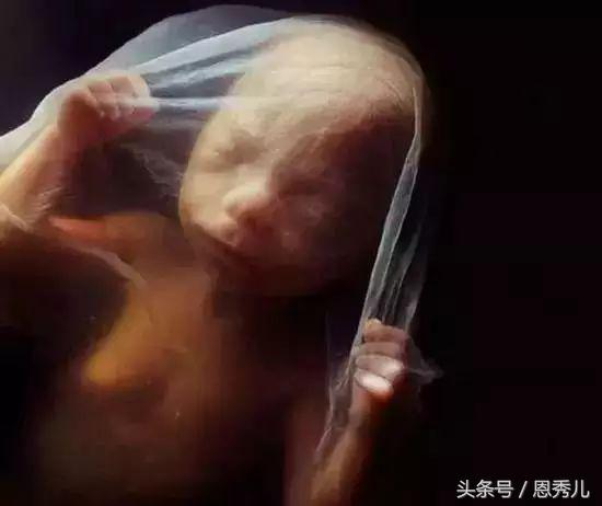 摄影大师花费10年，用镜头记录精子与卵子结合并发育成长的过程！