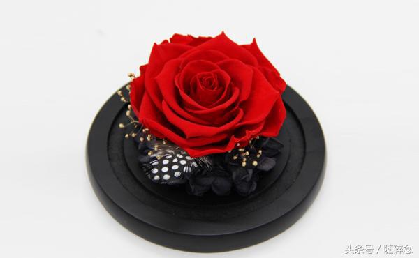 闺蜜礼物永生花,永生花diy礼物