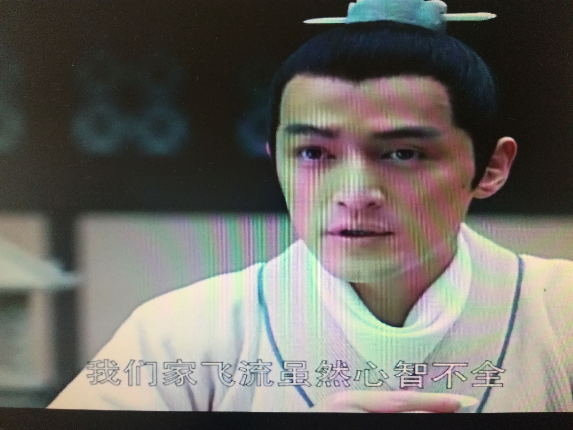 琅琊榜兄弟情深,琅琊榜苏先生飞流