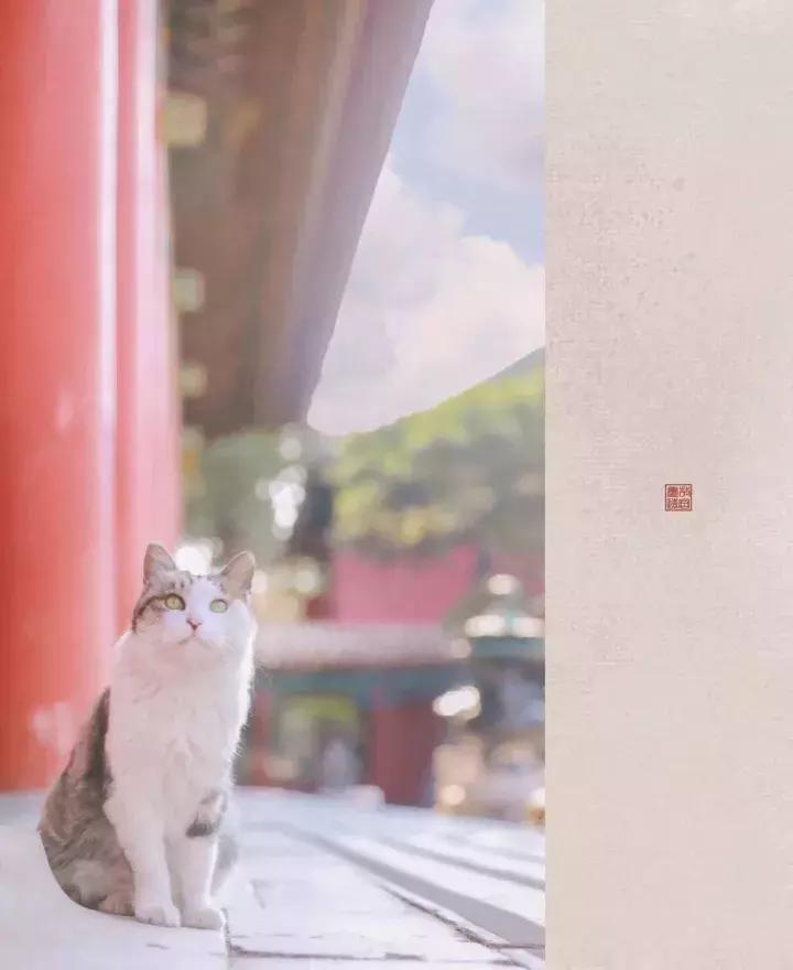 鏁呭18鍙尗,鏁呭鍚哥尗181鍙尗