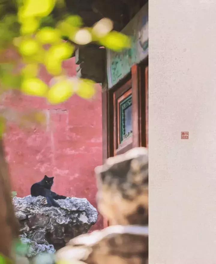 鏁呭18鍙尗,鏁呭鍚哥尗181鍙尗