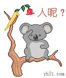 qq表情包小疯子表情包,表情包小女孩表情包高清