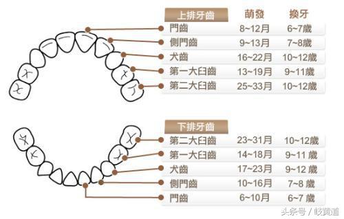 宝宝乳牙没掉又长新牙什么原因,宝宝乳牙没掉长出新牙怎么办