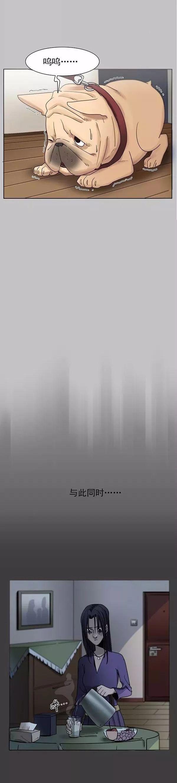 巴哥犬铲屎官漫画,铲屎官的搞笑漫画