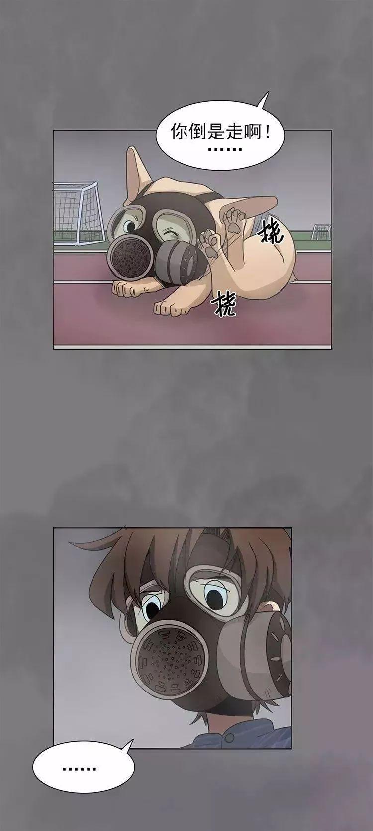 巴哥犬铲屎官漫画,铲屎官的搞笑漫画