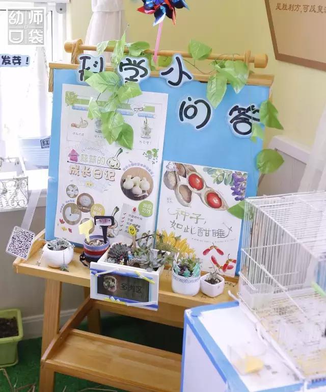 幼儿园春天植物角摆台,幼儿园植物角创意布置图片大全集