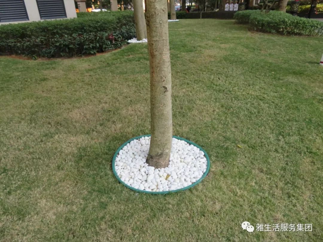 学习||雅居乐物业标杆项目亮点(100张大图解析高品质物业)