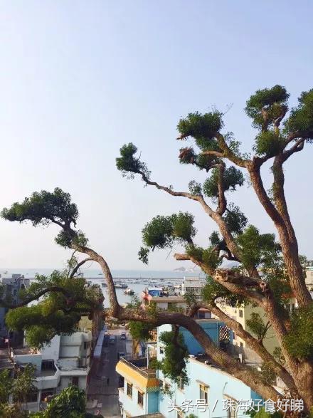 珠海旅游民宿推荐,珠海便宜的海边民宿推荐