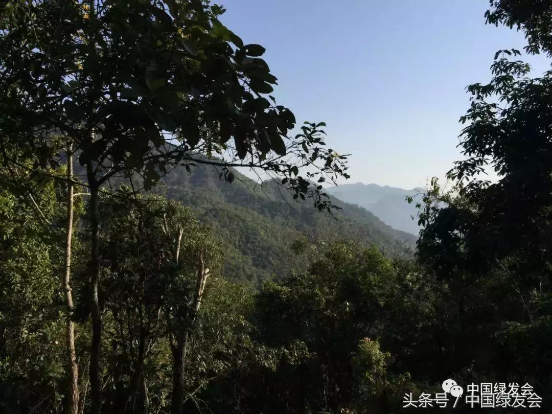 绿会中华保护地,绿会保护地