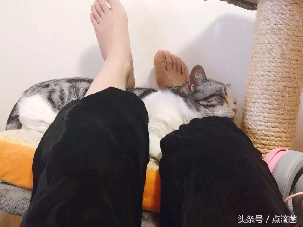 lol小楼为什么不直播了,lol小楼头条