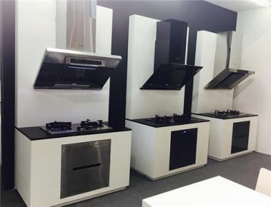 厨电知名品牌有哪些牌子,厨电十大品牌排行榜有哪些