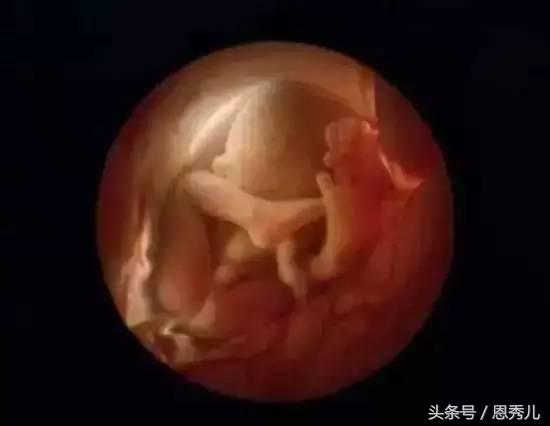 摄影大师花费10年，用镜头记录精子与卵子结合并发育成长的过程！