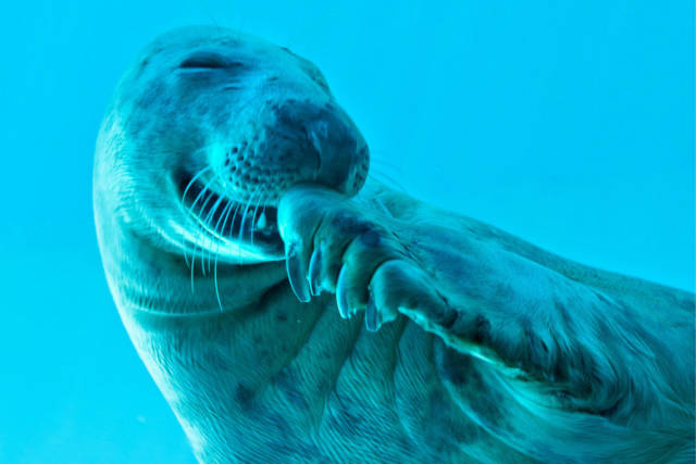 超实用的赚钱小技巧,教你一招最简单的赚钱方法