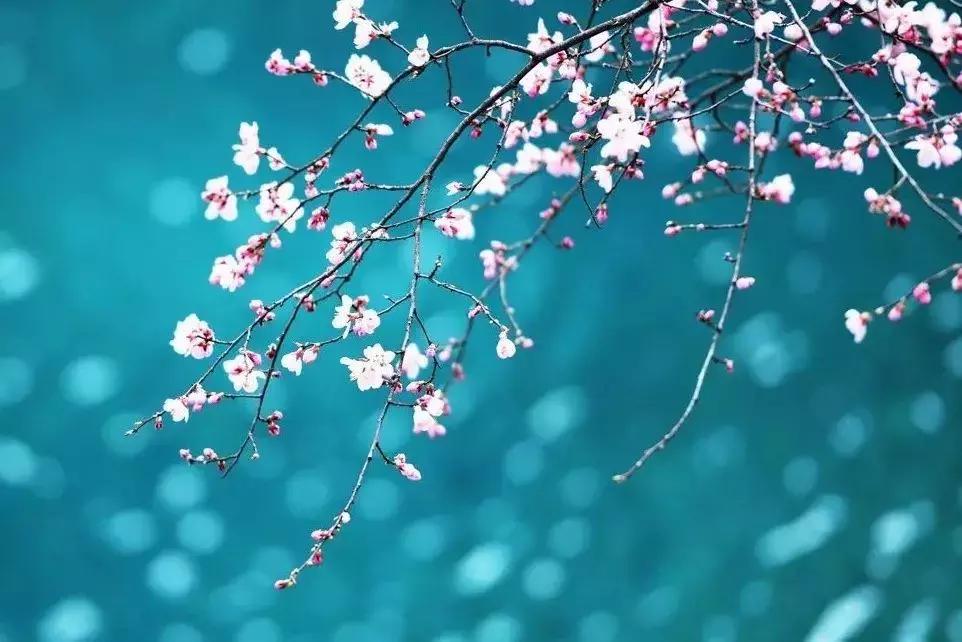 九寨沟震后形成新景观,人间仙境九寨沟震后依然山清水秀