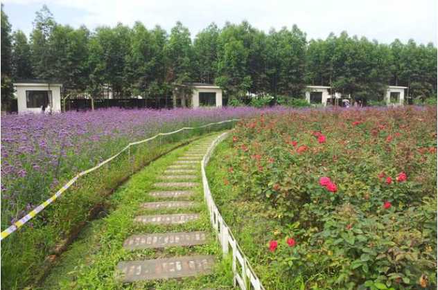 郫都区周末休闲好去处,郫都区唐昌镇有什么好玩的和美食