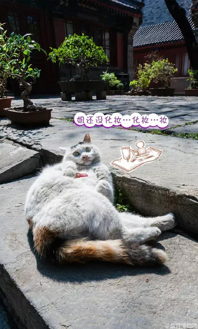 鏁呭18鍙尗,鏁呭鍚哥尗181鍙尗