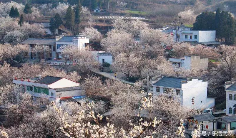 武汉春游两日游攻略大全,武汉春游适合去哪里玩