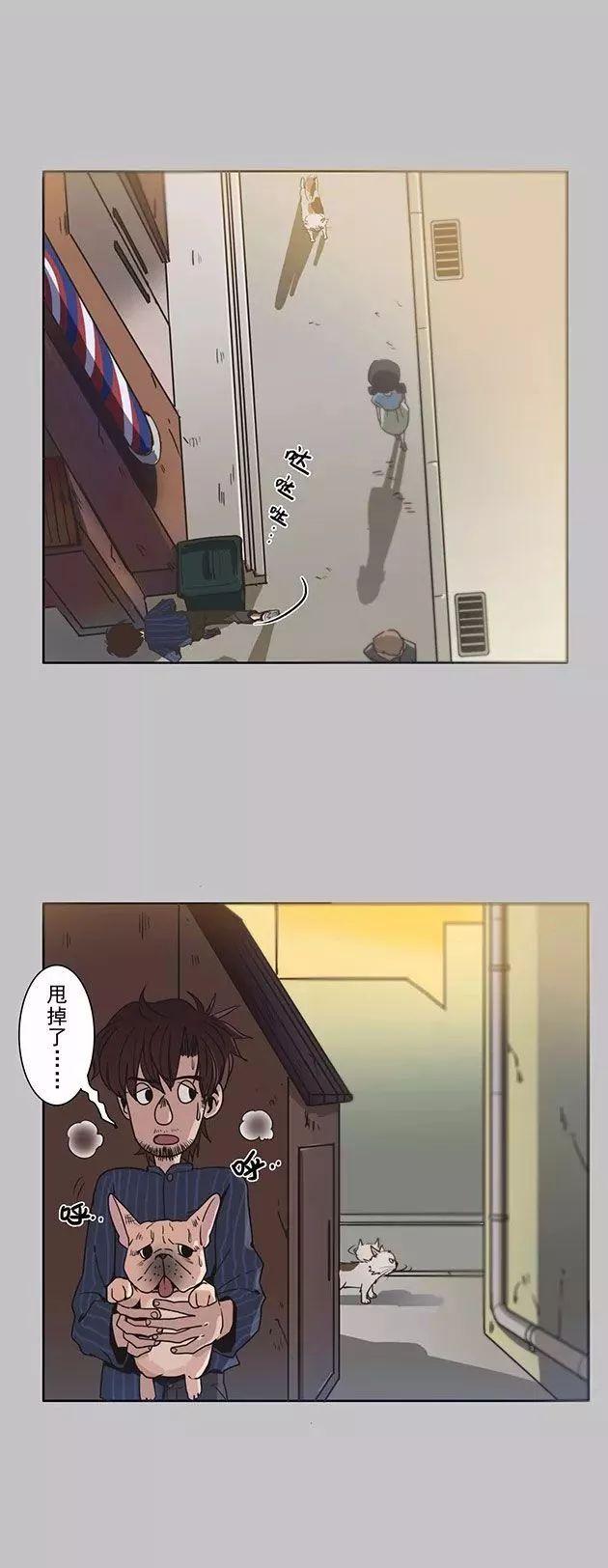 巴哥犬铲屎官漫画,铲屎官的搞笑漫画