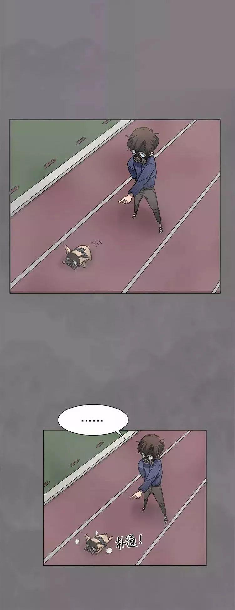 巴哥犬铲屎官漫画,铲屎官的搞笑漫画