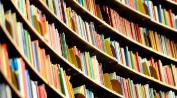 机器学习冒险之旅新手装备——ML规则和术语表