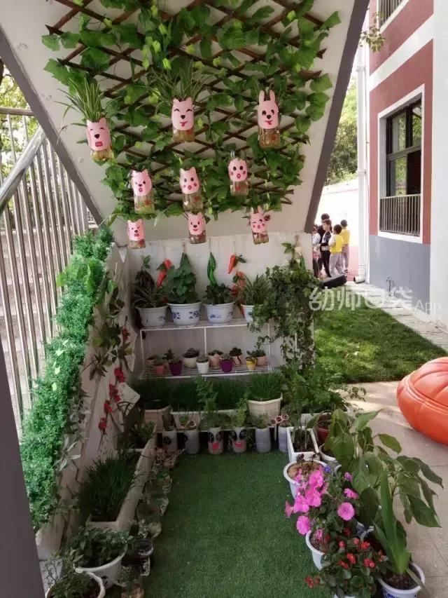 幼儿园春天植物角摆台,幼儿园植物角创意布置图片大全集