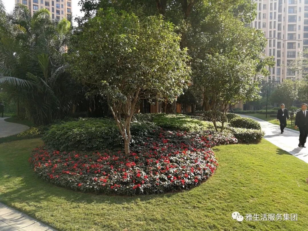 学习||雅居乐物业标杆项目亮点(100张大图解析高品质物业)