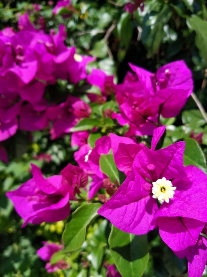 小米mix2全面屏,来自未来的手机