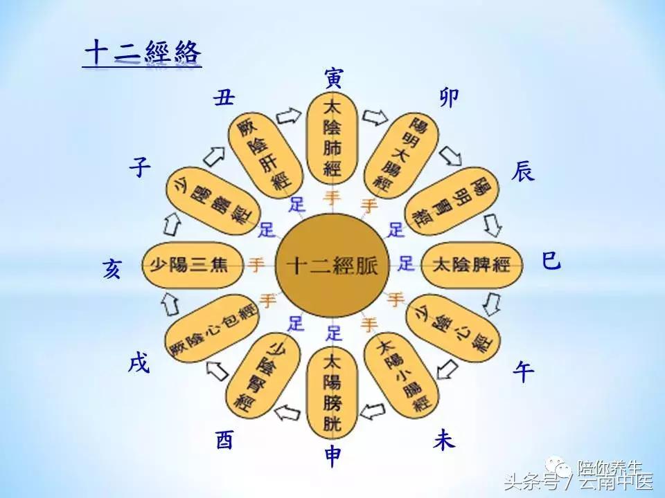 经络不通打通经络方法,经络不通拍打全身几个穴位通经络