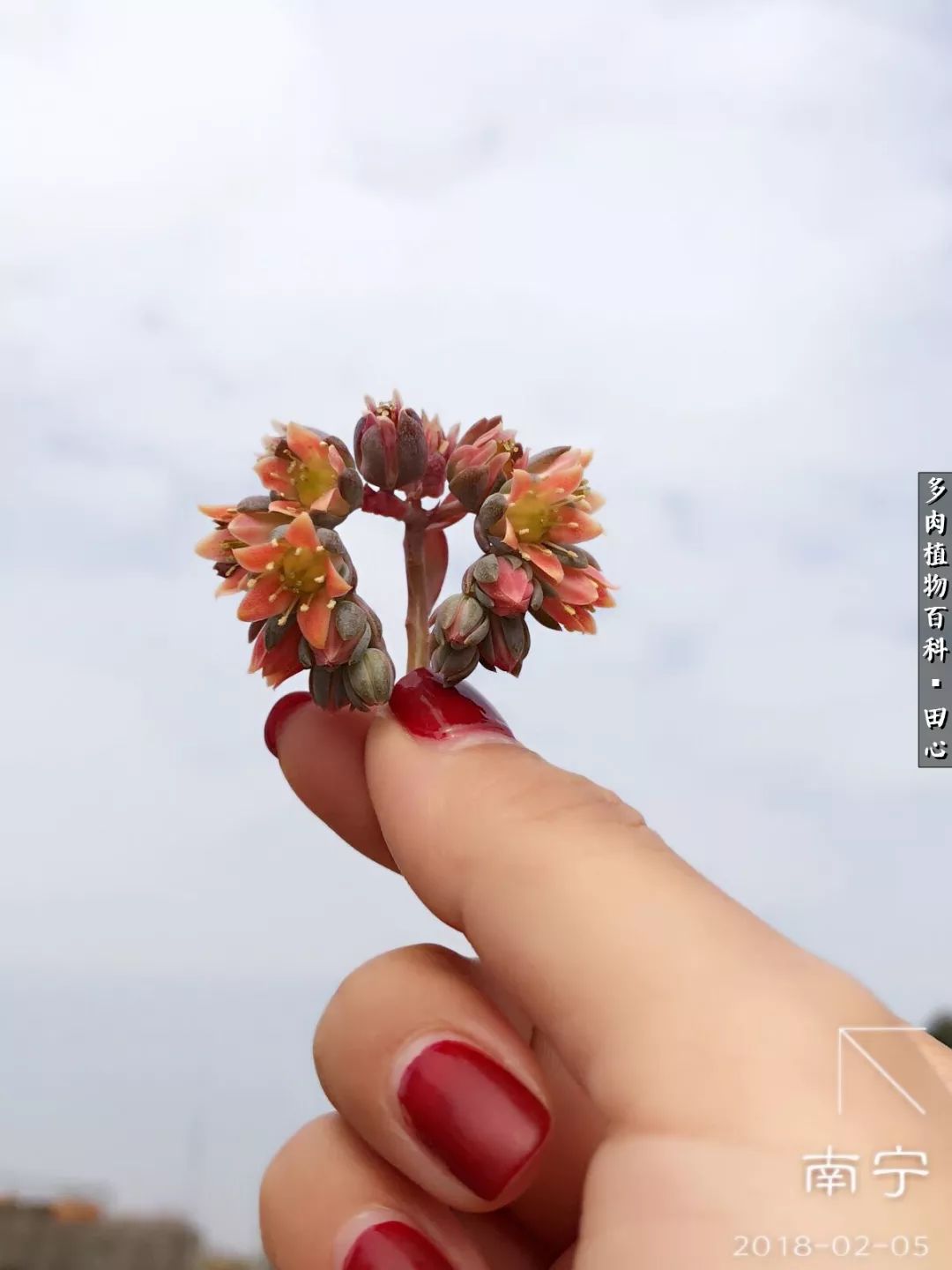 美肉再一次袭来，惊艳了时光，温柔了岁月！