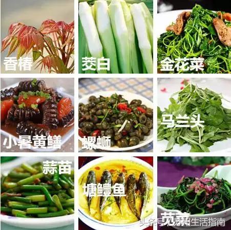 鏀跺ソ杩欎唤鏀荤暐甯︿綘浜彈瑙嗚鐩涘,鏀跺ソ杩欎唤鏃呰鏀荤暐