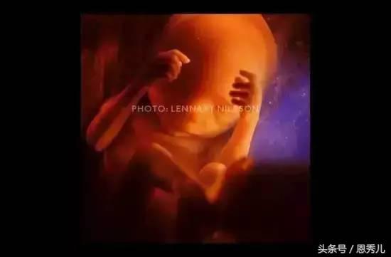 摄影大师花费10年，用镜头记录精子与卵子结合并发育成长的过程！