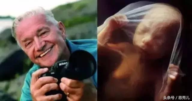 摄影大师花费10年，用镜头记录精子与卵子结合并发育成长的过程！