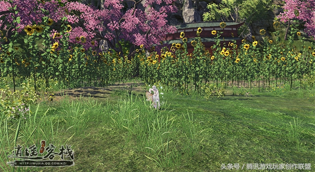 春暖花开赏花时五彩缤纷,春暖花开时繁花向阳开