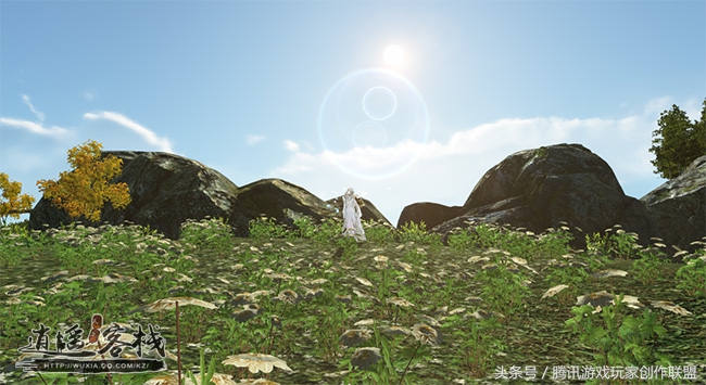 春暖花开赏花时五彩缤纷,春暖花开时繁花向阳开